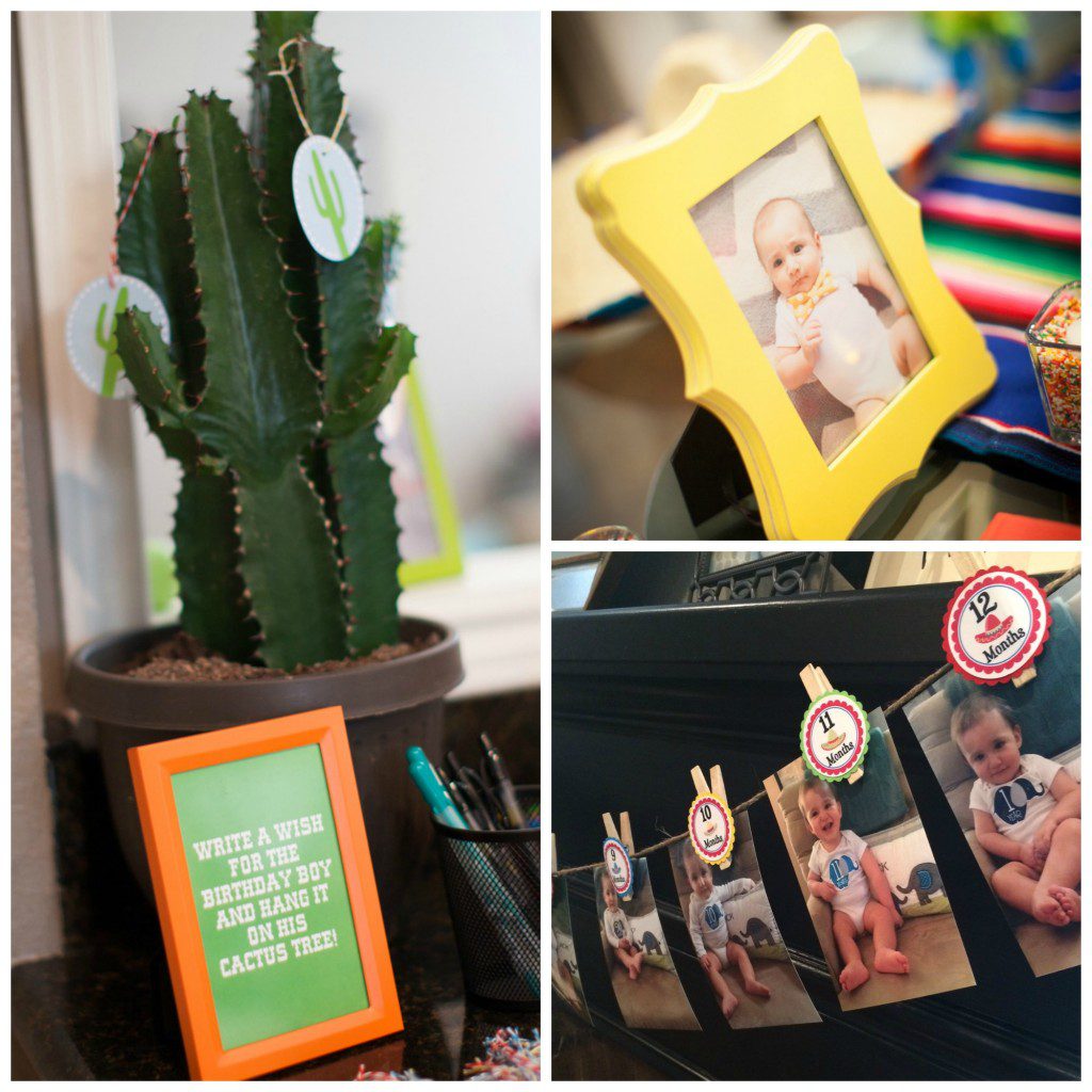 Three photographs from top to bottom, left to right: A cactus tree behind a framed sign with the text: Write a wish for the birthday boy and hang it on his cactus tree, a framed photograph of a baby, a rope with pictures hung from it with clothespins of a child at different months. 