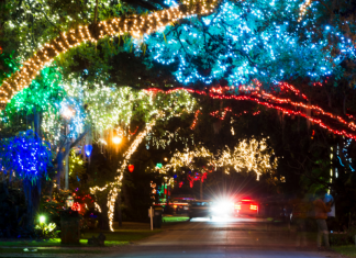 Colorful Christmas lights lining the trees along a street.