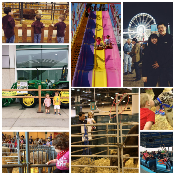 A collage of 8 photographs from top to bottom, left to right as follows: three children looking at a cow in a pen, children on a large slide, a couple in front of a Ferris wheel, two children in front of a tractor, a father holding his daughter at the side of a cow pen, a child kissing an animal, a child outside of a sheep pen, a fair ride.  