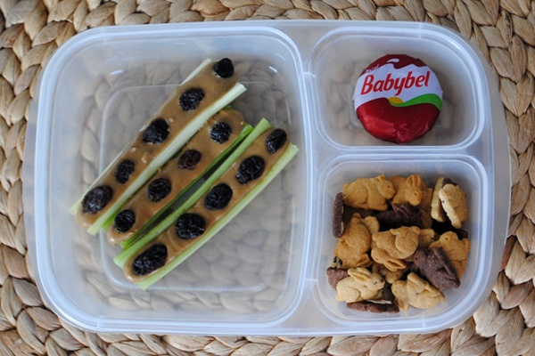 A plastic container with three divisions containing celery sticks with peanut butter and raisins, a babybel and Annie's bunnies..