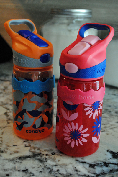 Two reusable water bottles. 