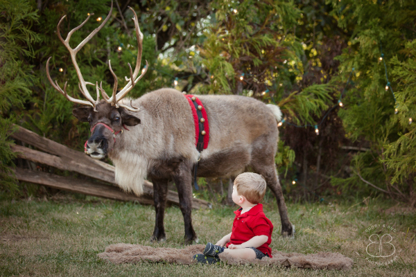 A Photographer's Holiday Sessions Cost | Houston Moms Blog