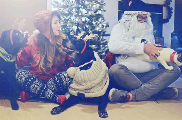 Holiday Family Photos with Pets | Houston Moms Blog