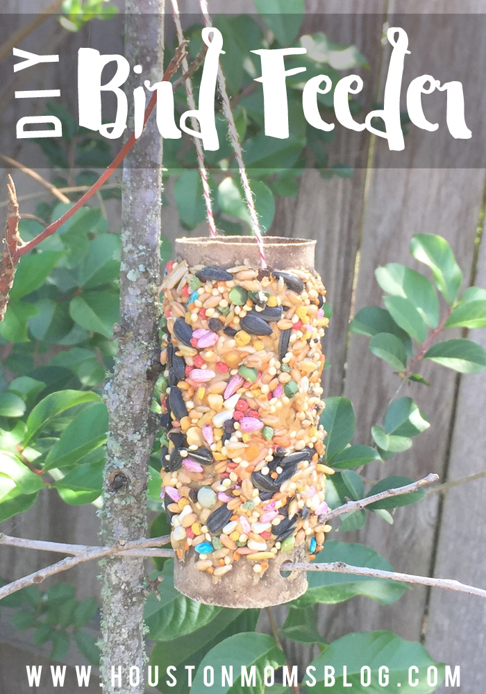 DIY Bird Feeder {Easy Earth Day Craft} | Houston Moms Blog