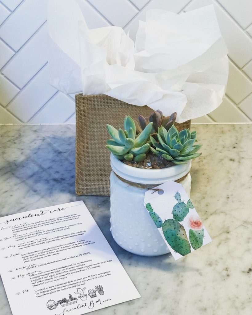 Thinking Outside the Box {or Succulent Pot} for a Fun Night Out! | Houston Moms Blog