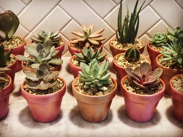 Thinking Outside the Box {or Succulent Pot} for a Fun Night Out! | Houston Moms Blog