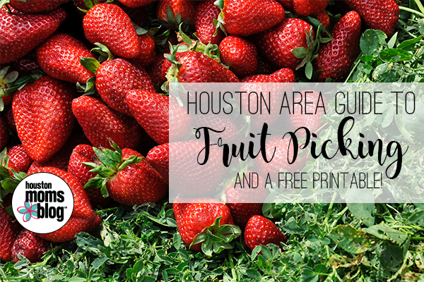 Houston Area Guide to Fruit Picking and a free printable. Logo: Houston moms blog. A photograph of strawberries and greens.