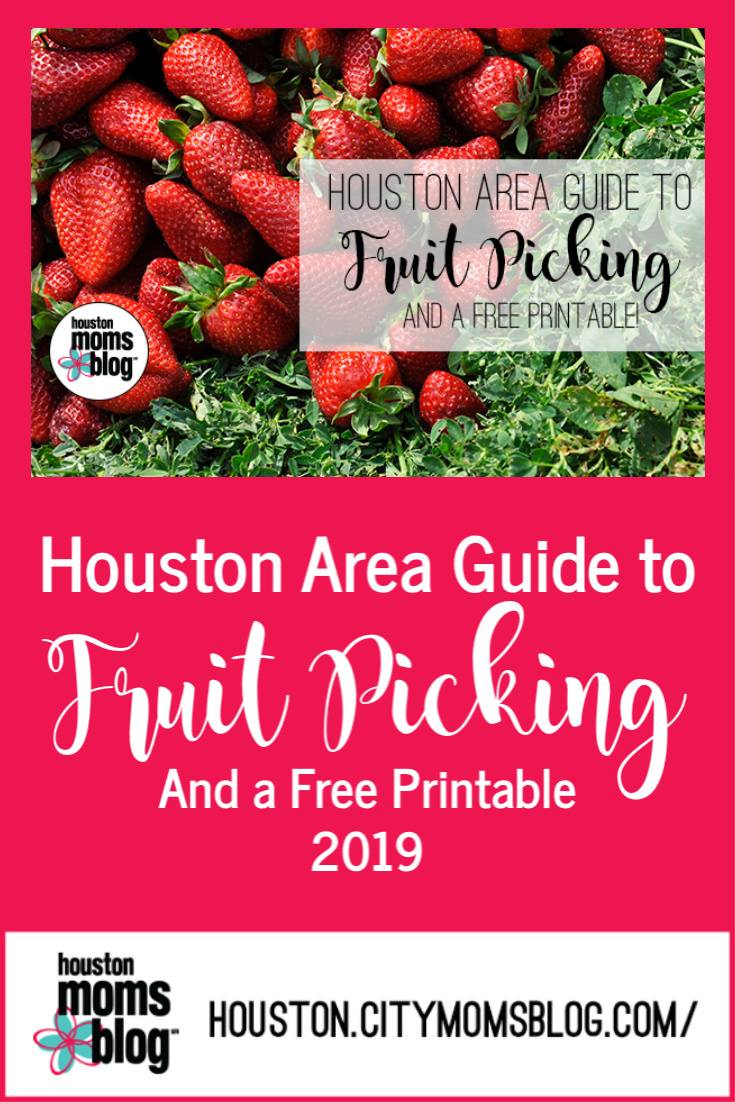 Houston Area Guide to Fruit Picking and a FREE Printable 2019. Logo: Houston moms blog. Houston.citymomsblog.com/. A photograph of strawberries and greens. 