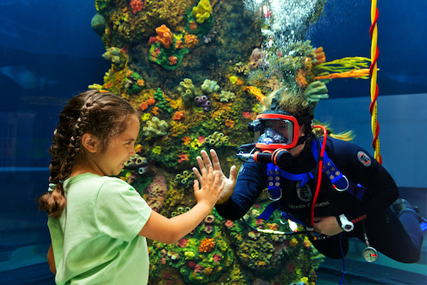 A photograph of a child pressing her hand to glass separating her from a scuba diver. 