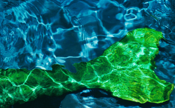 green mermaid tail in water