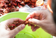 hands over bowl peeling crawfish