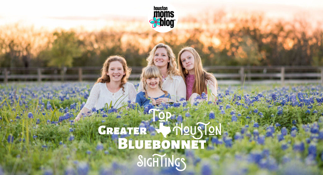 Houston Moms "Top Greater Houston Bluebonnet Sightings" #houstonmomsblog #momsaroundhouston