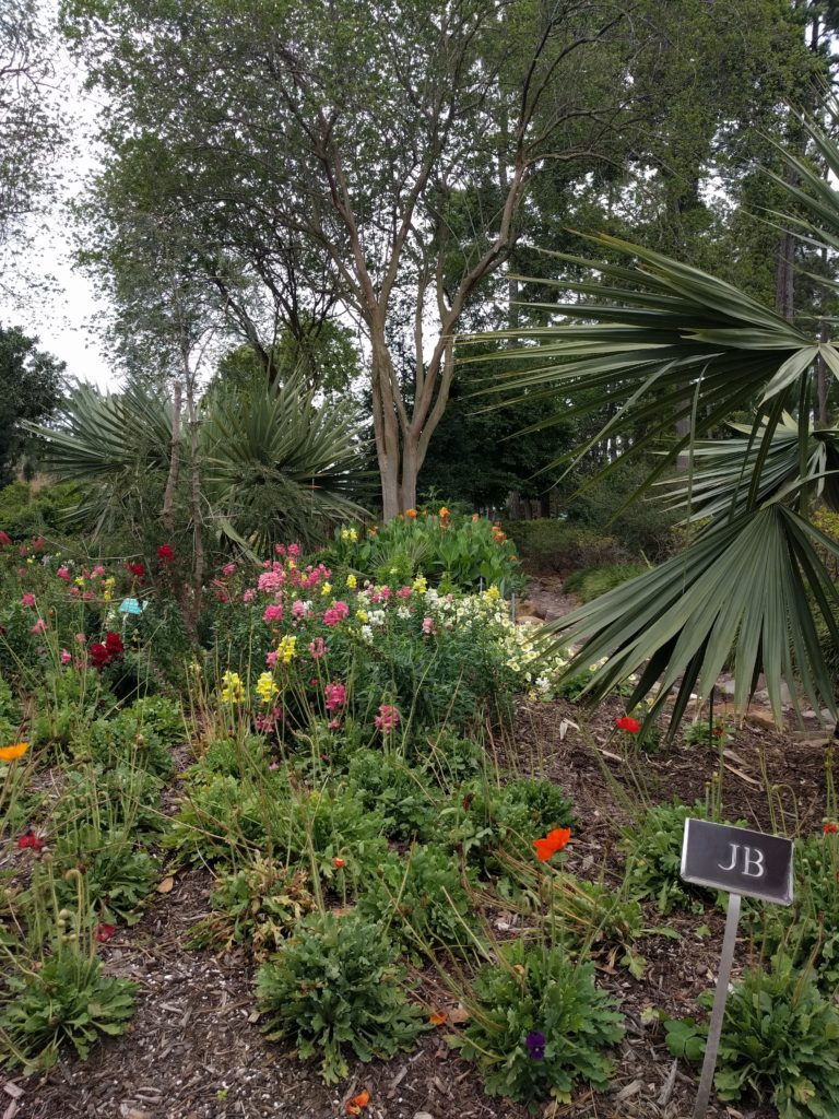 A flower patch with trees in the background. 