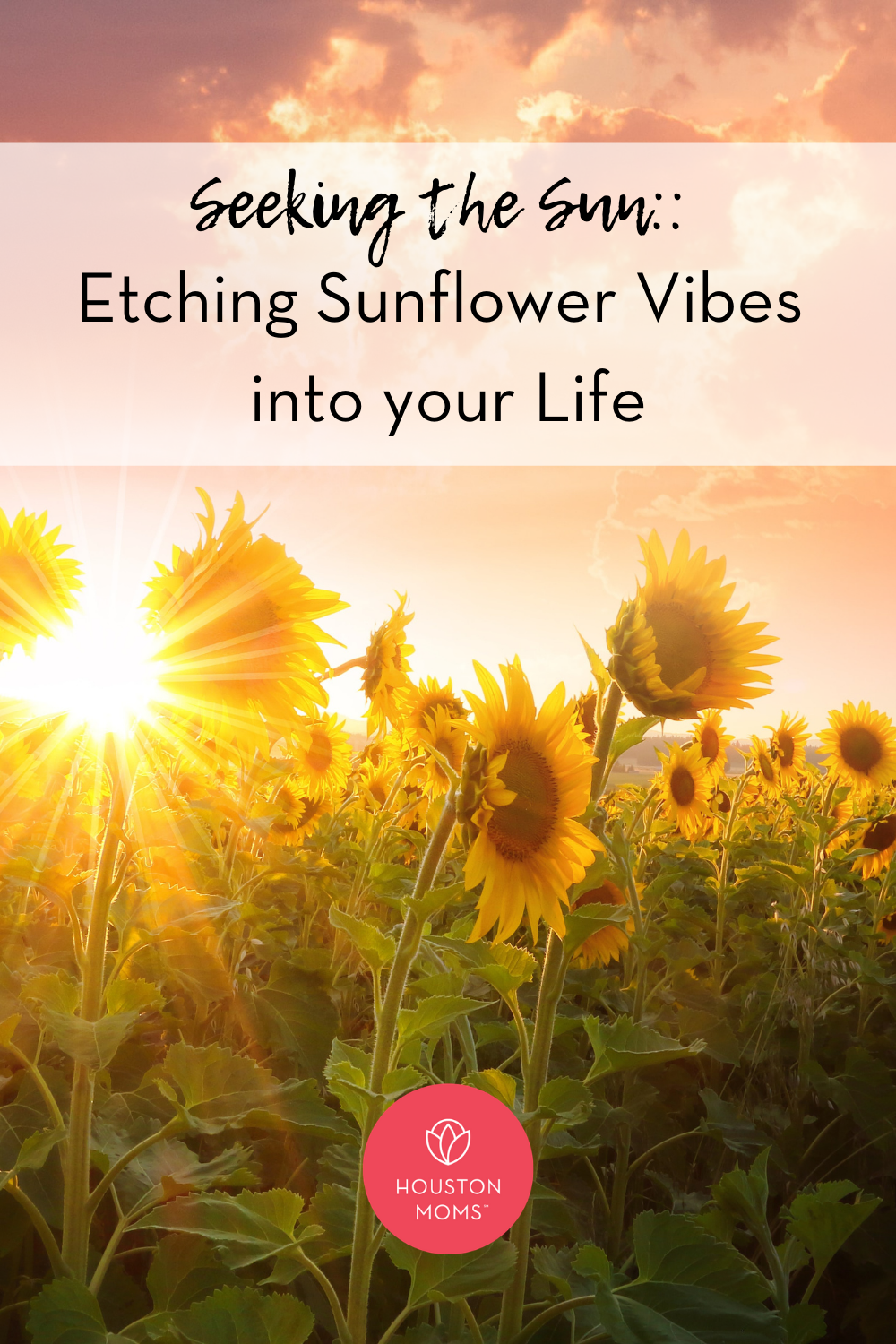 Houston Moms 'Seeking the Sun:: Etching Sunflower Vibes into Your Life" #houstonmoms #houstonmomsblog #momsaroundhouston