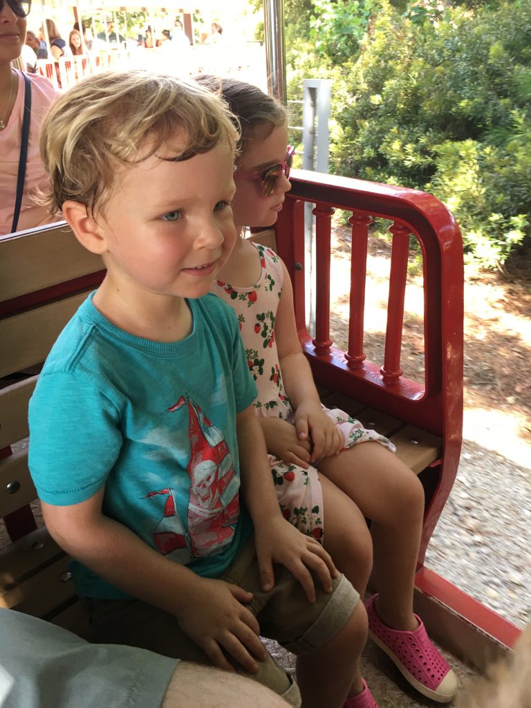 Two young children riding a sightseeing train at a park. 