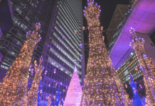 A photograph of lit and decorated Christmas trees in a city.