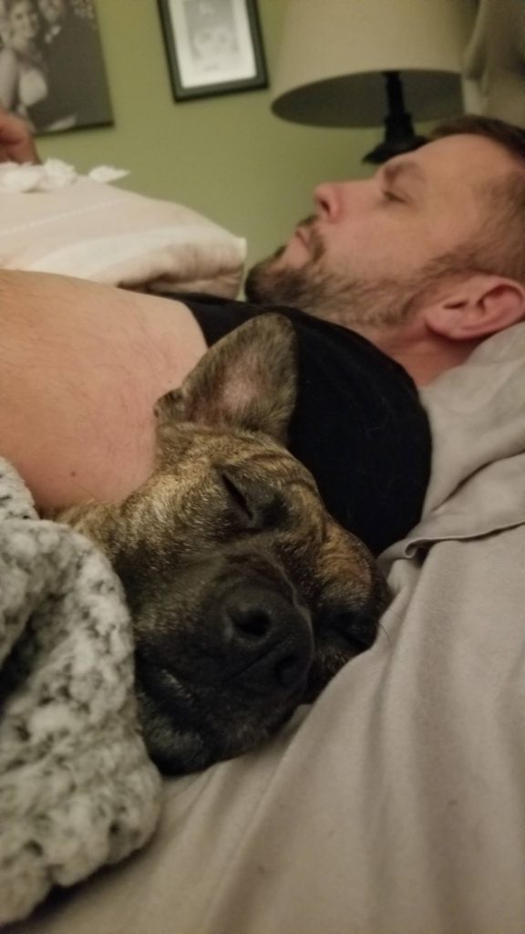 dog sleeps next to owner on bed