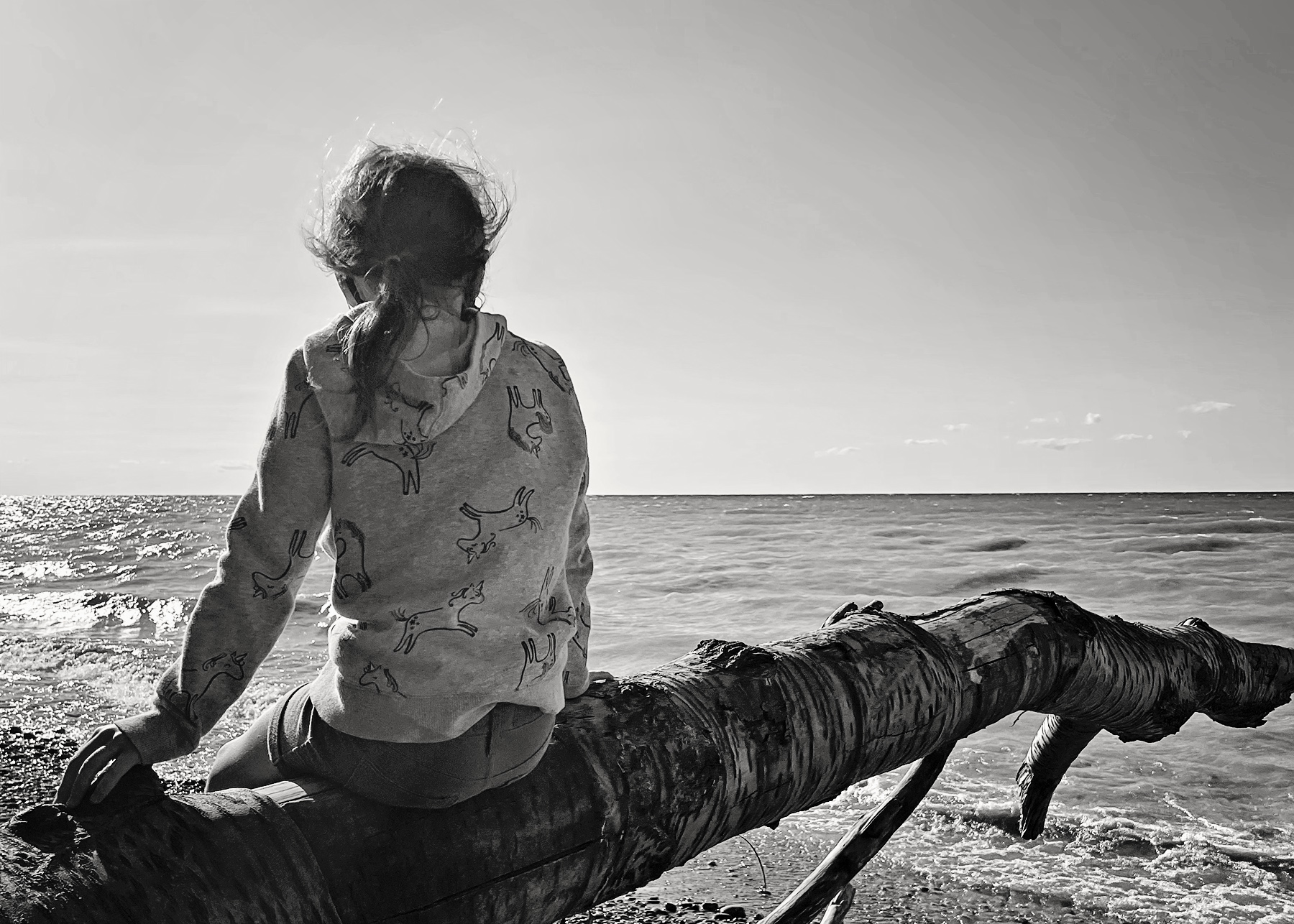 young girl sitting on a branch looking at the ocean