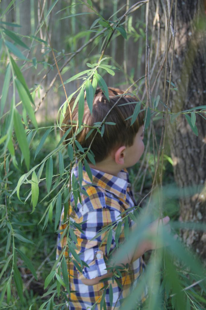 preschool boy stands by tree covered by leaves