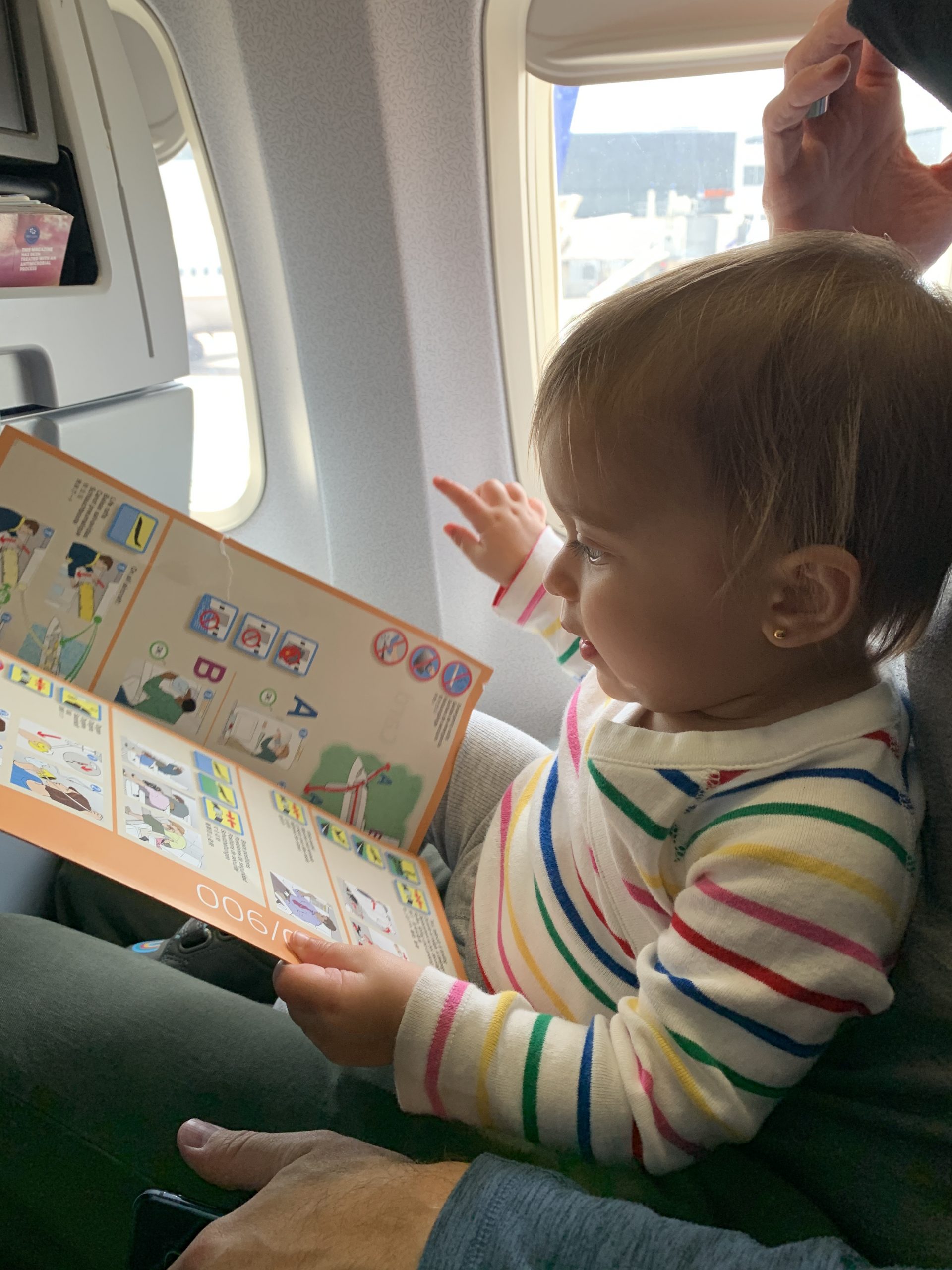 A toddler sitting on a parent's lap on an airplane and looking at a flight instruction pamphlet.