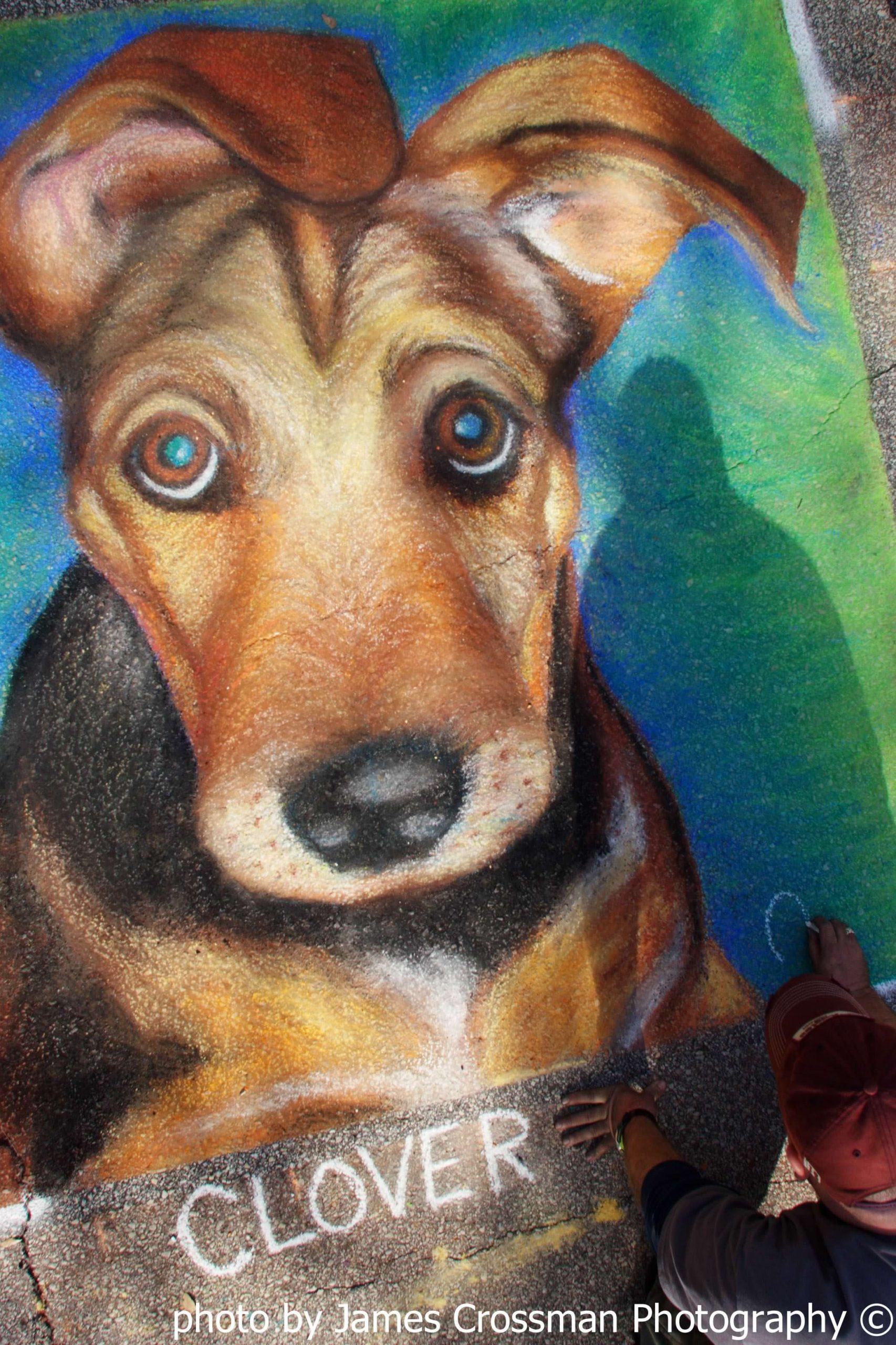 chalk art of a dog named Clover