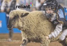 A photograph of a child wearing a helmet and holding on to the back of a sheep. Photo courtesy of the Houston Livestock Show and Rodeo. Logo: Houston moms and Reliant.
