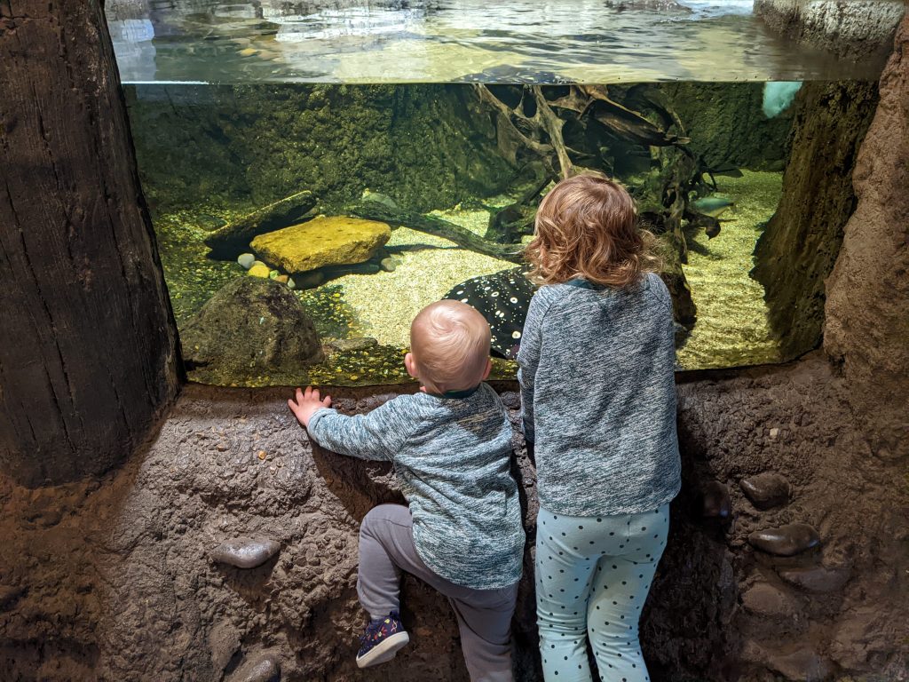 siblings stand next to each other looking at an aquarium