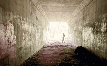 stepping out of survival mode- light at the end of a tunnel