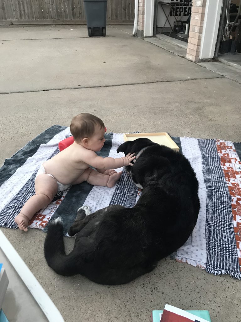 baby lying on ground on blanket with dog
