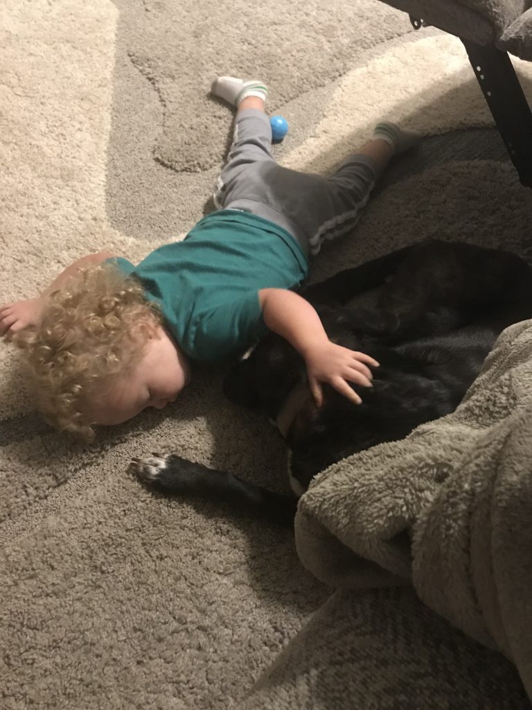 toddler lying on floor with dog