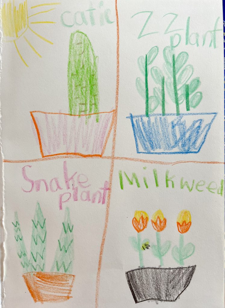 child's drawing of four houseplants