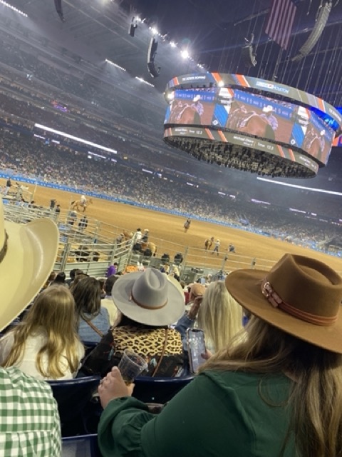 crowd watching Houston Rodeo