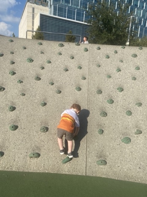 Child on rock climbing wall