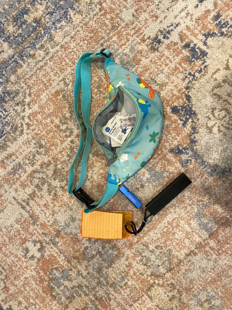safety pack- teal bag with dinosaur print, filled with whistle, ID card, and bandaids