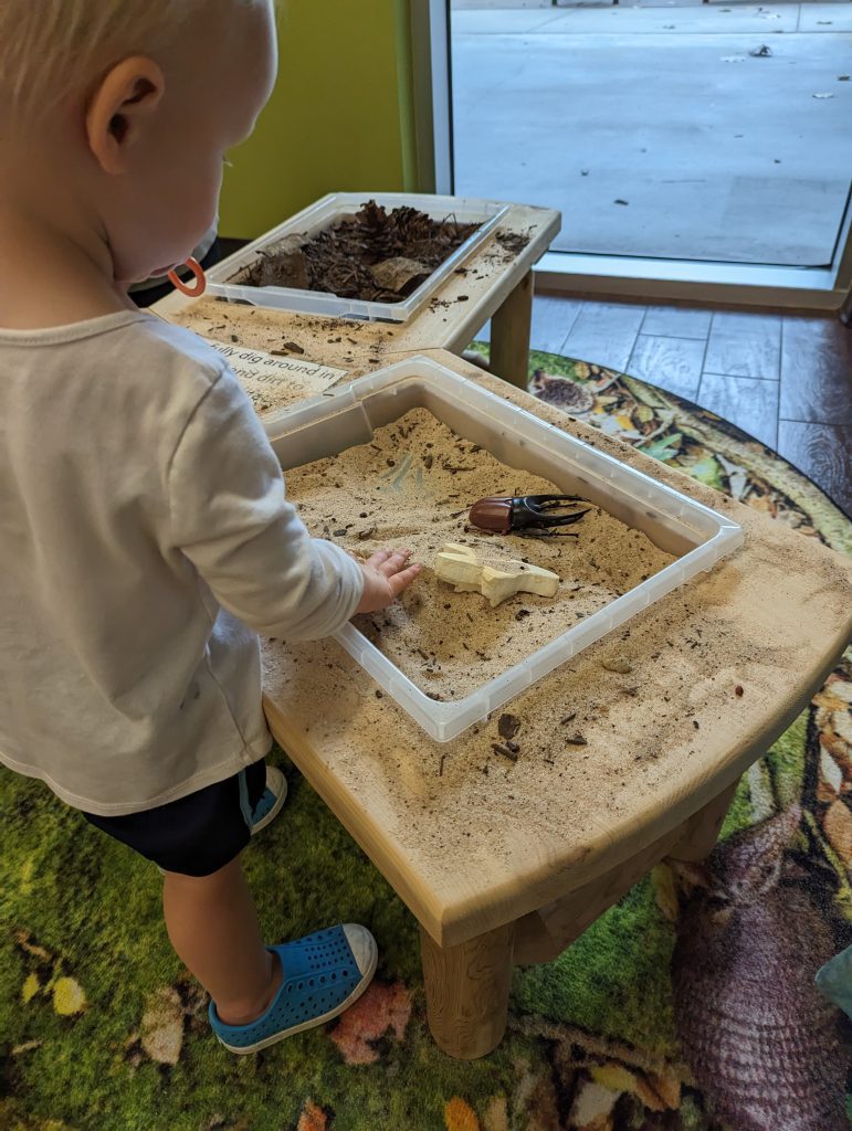 Dirt table at Spring Creek Nature Center